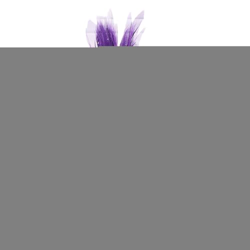 Gacqpli Hexenbesen Für Kinder,Hexenbesen Für Halloween - Spielzeug Deko Für Garten Kostüme Cosplay Bühnenauftritte Gruselhaus Halloween Partys Gacqpli Hexenbesen Für Kinder,Hexenbesen Für Halloween - Spielzeug Deko Für Garten Kostüme Cosplay Bühnenauftritte Gruselhaus Halloween Partys von Gacqpli