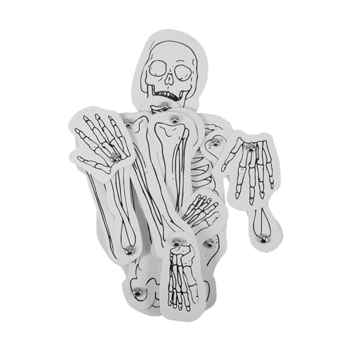 Gadpiparty 1 Über Menschliches Skelett Menschliches Skelettmodell Skelett Menschliches Skelett In Lebensgröße Montage Menschliches Skelett Körper Torso Anatomie Skelette Schädel Gadpiparty 1 Über Menschliches Skelett Menschliches Skelettmodell Skelett Menschliches Skelett In Lebensgröße Montage Menschliches Skelett Körper Torso Anatomie Skelette Schädel von Gadpiparty