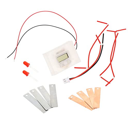 Gadpiparty Selbstgemacht Obstbatterie Experimentierset für Schüler Wissenschaftsspielzeug Pädagogisches Bausatz für Fruchtstromerzeugung Lernspielzeug für Kinder Experimentierkit für Schule von Gadpiparty