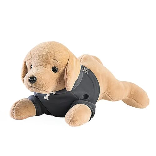 Hund Golden Retriever Hund mit Hemd Home Decor Niedliches Kinderspielzeug Geschenk für Kinder Geburtstag 80cm 1 von GagaLu