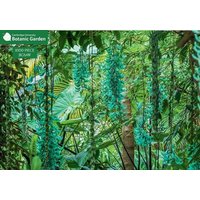 Jade Vine 1000 Piece Jigsaw Puzzle Jade Vine 1000 Piece Jigsaw Puzzle von Galileo Publishers