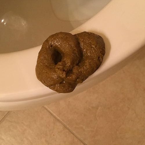 Künstlicher Poopy, realistischer Kunstkot, Neuheit, schwimmender Kunstkacke für Aprilscherz, bringt Freude und Lachen in jede Versammlung von Gammaeon