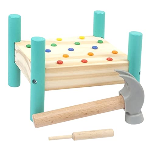 Garneck 1 Satz Holzspielzeug für Farben Klopfspielzeug Motorik und Kreativität Lernspielzeug für Kleinkinder zur und Handstärketraining von Garneck
