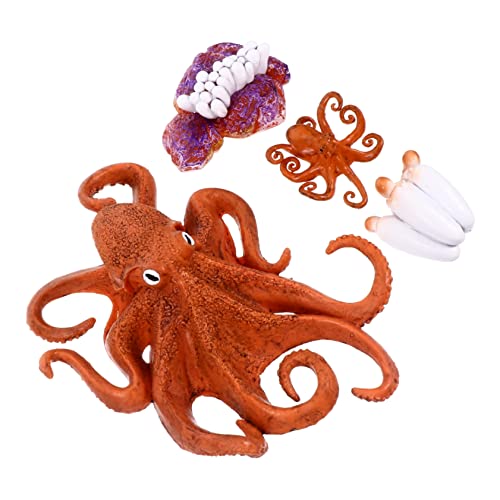 Garneck 1 Satz Wachstumszyklus Fisch Pädagogikspielzeug Kleinkinder Kinderspielzeug Desktop-Ornament Künstliche Meeresbewohner-Dekoration Meeresorganismus-Modell Plastik von Garneck