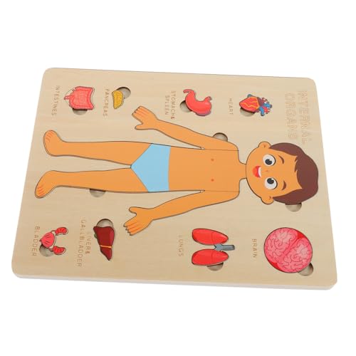 Garneck 1 Set Holzpuzzle Menschlicher Körper Für – Anatomie Lernspiel Mit Körperteilen Und Organen - Ideales Lernspielzeug Für Vorschulkinder Zur Von Anatomiekenntnissen Garneck 1 Set Holzpuzzle Menschlicher Körper Für – Anatomie Lernspiel Mit Körperteilen Und Organen - Ideales Lernspielzeug Für Vorschulkinder Zur Von Anatomiekenntnissen von Garneck