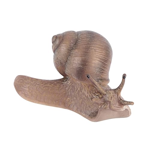 Garneck 1 Stück Schnecken Mikrolandschaft Lebendige Schneckenfigur Schneckenfigur Modelllandschaft Kunsthandwerk Simuliertes Schneckenspielzeug Schneckenmodell Garneck 1 Stück Schnecken Mikrolandschaft Lebendige Schneckenfigur Schneckenfigur Modelllandschaft Kunsthandwerk Simuliertes Schneckenspielzeug Schneckenmodell von Garneck