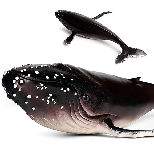 Garneck 1Stück Lebensechtes Walmodell aus Hochwertigem Kunststoff Realistische Ozeanfigur für Kreative Deko und Lernhilfe für Heimdekoration Humpback Whale Design von Garneck