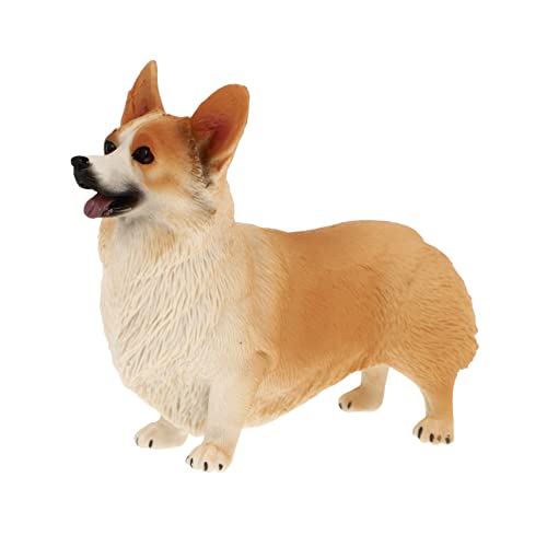 Garneck 1stück Corgi Hund Figurine Realistisches Tiermodell Zur Dekoration Für Zuhause Büro Und Auto Detailliertes Corgi Modell Aus Hochwertigem Material von Garneck