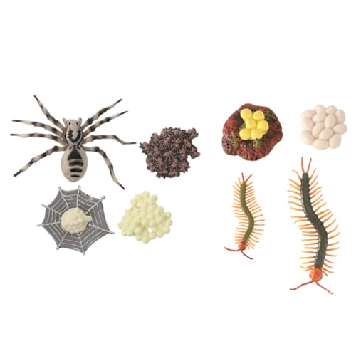 Garneck 2 Sätze Tierischer Lebenszyklus Modelle für Lernspielzeug Realistische Tarantel und Vielfüßler Figuren Plastische Kognitive Dekoration Pädagogisches Wachstumsmodell Garneck 2 Sätze Tierischer Lebenszyklus Modelle für Lernspielzeug Realistische Tarantel und Vielfüßler Figuren Plastische Kognitive Dekoration Pädagogisches Wachstumsmodell von Garneck