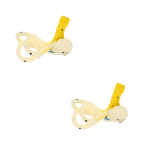 Garneck 2 Stück Anatomisches Modell Des Menschlichen Ohres Detailgetreues Lehrmittel für und Physiologie zur Veranschaulichung Des Innenohrs mit Stabilem Standfuß von Garneck