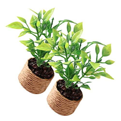 Garneck 2 Stück Mini Orangenbaum Spielzeughaus Kunstpflanzen Mini Miniatur Küchentisch Mittelstücke Miniatur Dekorationen Tisch Mittelstücke Für Esszimmer Kunststoff Garneck 2 Stück Mini Orangenbaum Spielzeughaus Kunstpflanzen Mini Miniatur Küchentisch Mittelstücke Miniatur Dekorationen Tisch Mittelstücke Für Esszimmer Kunststoff von Garneck