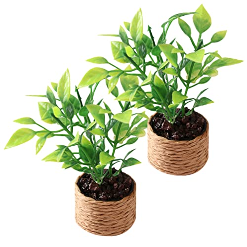 Garneck 2Stücke Topfblumen Künstliche Pflanzen Für Puppenhaus Realistische Deko Für Tischmittelstücke Fotorequisiten Platzsparend Und Pflegeleicht Garneck 2Stücke Topfblumen Künstliche Pflanzen Für Puppenhaus Realistische Deko Für Tischmittelstücke Fotorequisiten Platzsparend Und Pflegeleicht von Garneck