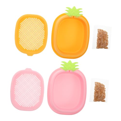 Garneck 2pcs Hydroponische Katzengras -pflanzer Für Kinder, Die Töpfe Für Innenräume Verwenden. von Garneck