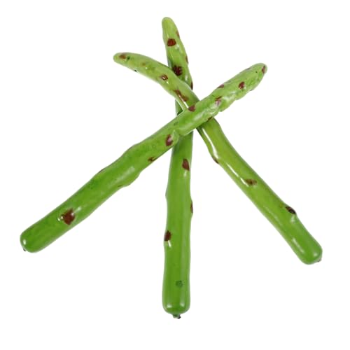 Garneck 3 Stück Simulation Spargel Modell Home Decor Gemüse Synthetischer Spargel Imitation Gemüse Gemüse Gefälschtes Gemüse Kunstgemüse Gefälschtes Gemüse Schaum Grün Garneck 3 Stück Simulation Spargel Modell Home Decor Gemüse Synthetischer Spargel Imitation Gemüse Gemüse Gefälschtes Gemüse Kunstgemüse Gefälschtes Gemüse Schaum Grün von Garneck