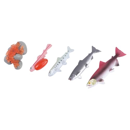 Garneck 4Stücke Simulation Modell Teiliges Kinderspielzeug zum Lernen des Fischwachstumsprozesses Ansprechende Deko für Kreatives und Bildung Fördert die Vorstellungskraft von Garneck