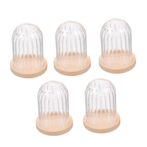 Garneck 5stücke Miniatur Glas Kuchenhaube Teiliges Puppenhaus Zubehör Mikrolandschaft Dekoration Und Glas Praktisch Und Stilvoll Für Rollenspiele Und Miniaturwelten von Garneck