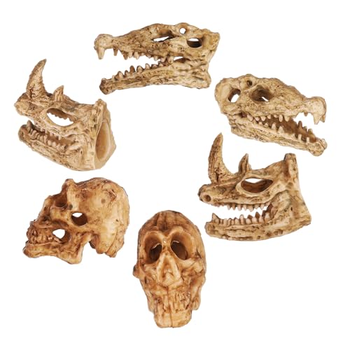 Garneck 6 Stück Teiliges Miniatur Tier schädel Figuren aus Kunststoff Realistische Halloween Deko Stabiles Aquarium Ornament Platzsparend Vielseitig für Mikro landschaften und Garneck 6 Stück Teiliges Miniatur Tier schädel Figuren aus Kunststoff Realistische Halloween Deko Stabiles Aquarium Ornament Platzsparend Vielseitig für Mikro landschaften und von Garneck