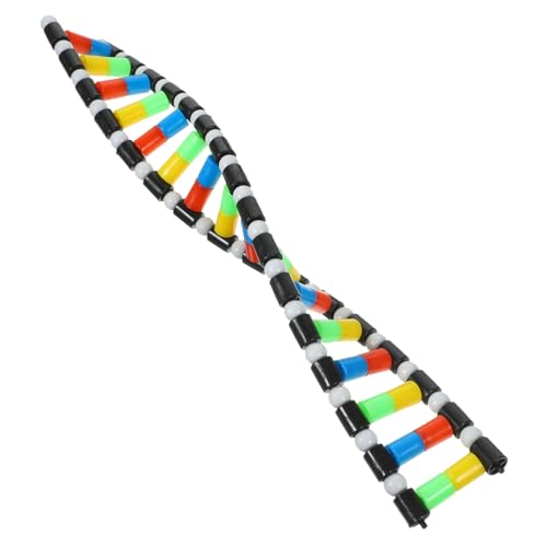 Garneck Lehrbausatz Doppelhelix-modellbausatz Für Den Naturwissenschaftlichen Unterricht Lernspielzeug Für Jungen Und Mädchen von Garneck