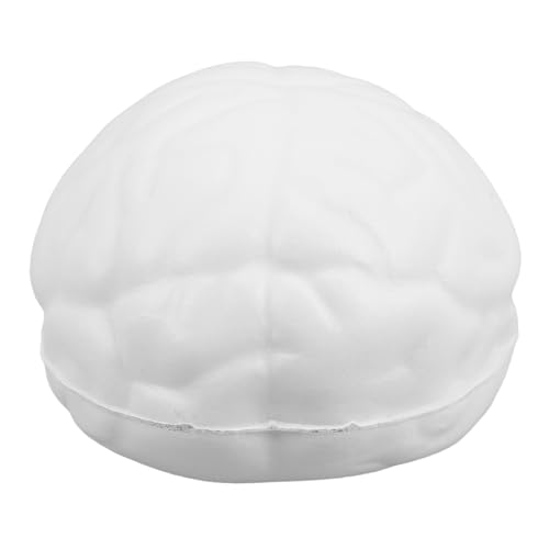 Garneck Hirndruckkugel Gehirn Stressball Stressabbau Gehirn Form Stressball Gehirn Form matschiges Gehirnstressspielzeug sensorische Squishy-Spielzeuge Pu Weiß von Garneck