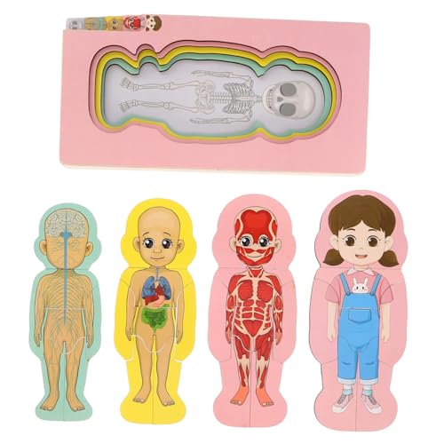 Garneck Kinder Anatomie Puzzle Holzkörperrätsel Für Kleinkind Frühstamm Bildung Montessori Spielzeug Für Jungen Mädchen von Garneck