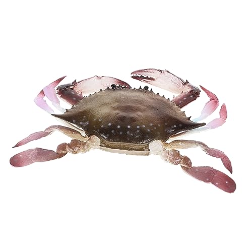 Garneck Künstliche Modell aus Realistisches Meereslebewesen für Aquariendekoration und Lernspielzeug Kreative Spiele und für Freunde Garneck Künstliche Modell aus Realistisches Meereslebewesen für Aquariendekoration und Lernspielzeug Kreative Spiele und für Freunde von Garneck