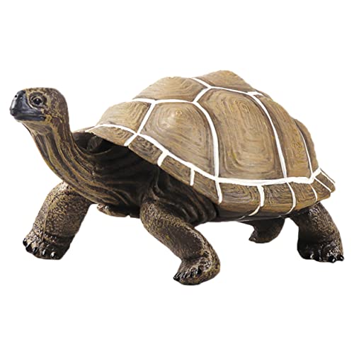 Garneck Lebensechte Schildkrötenfigur aus Hochwertigem Kunststoff Detailgetreues Tortoise Modell Glatte Oberfläche Kindgerechtes Lernspielzeug und Dekorative Tierstatue für Kinderzimmer Garneck Lebensechte Schildkrötenfigur aus Hochwertigem Kunststoff Detailgetreues Tortoise Modell Glatte Oberfläche Kindgerechtes Lernspielzeug und Dekorative Tierstatue für Kinderzimmer von Garneck