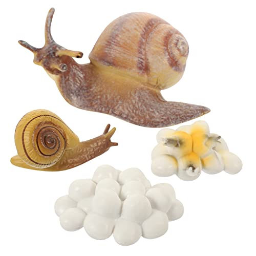 Garneck Lebenszyklus Schnecken Spielzeugset Teiliges Set mit Realistischen Schneckenfiguren für Junge Mädchen Interaktives Lernspielzeug Naturerfahrung und Kognitiven Entwicklung Garneck Lebenszyklus Schnecken Spielzeugset Teiliges Set mit Realistischen Schneckenfiguren für Junge Mädchen Interaktives Lernspielzeug Naturerfahrung und Kognitiven Entwicklung von Garneck