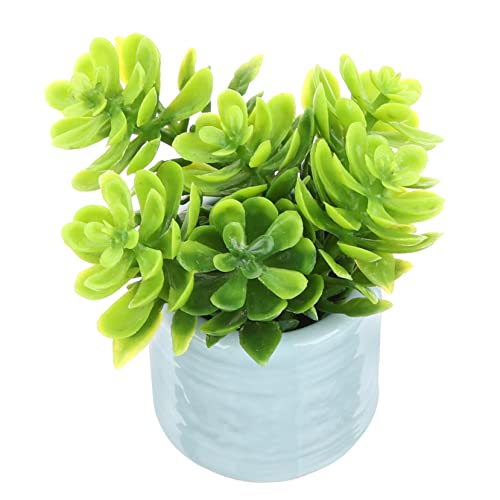 Garneck Mini Bonsai Laub Kleines Accessoire Moospflanzen Materialien Ornament Miniatur Topfpflanze Wohnaccessoires Kleines Innenmodell Heimdekor Dekoration Miniaturen Cottage von Garneck