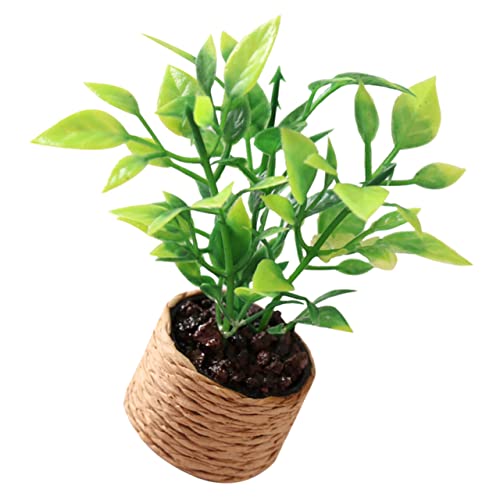 Garneck Miniaturpflanztopf Aus Gefälschter Für Mikrolandschaften Dekoration Und Puppenhaus Für Kreative Gartenprojekte Und Kinderaktivitäten Garneck Miniaturpflanztopf Aus Gefälschter Für Mikrolandschaften Dekoration Und Puppenhaus Für Kreative Gartenprojekte Und Kinderaktivitäten von Garneck
