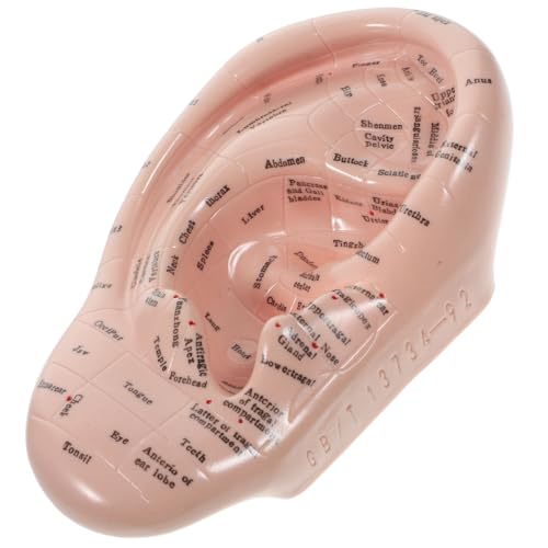 Garneck Ohrmodell für Kopfhörer und Akupunktur, Lernwerkzeug aus weichem PVC, ideal für Reflexzonenübungen und professionelle Behandlungen von Garneck