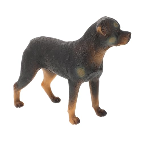 Garneck Realistische Hundefigur Kunststoff Detailliertes Hundemodell Für Junge Mädchen Lernspielzeug Für Kognitive Entwicklung Dekorativ Und Sicher Für Nutzung von Garneck