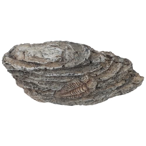 Garneck Trilobiten-exemplar Aus Bernstein Für Sammler Paläontologisches Ornament Zur Dekoration Naturwissenschaftlicher Unterricht Garneck Trilobiten-exemplar Aus Bernstein Für Sammler Paläontologisches Ornament Zur Dekoration Naturwissenschaftlicher Unterricht von Garneck