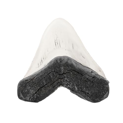 Garneck Retro Kunststoff Haifischzahn Modell Dekoration Leichter Kompakter Tisch Schmuck Vielseitig für DIY Regal und Schreibtisch Einzigartiges Design Handwerkliche Qualität von Garneck