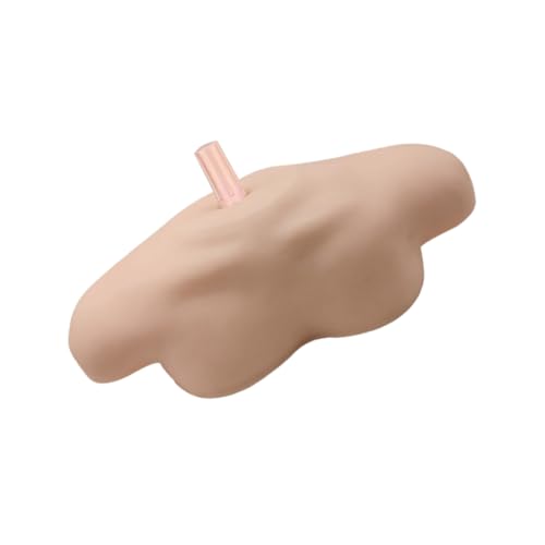 Garneck Schultermodell mit Glatter Oberfläche Universeller Halter für Perücken Hüte Brillen und Schals Wiederverwendbares Friseurbedarf Display für Salon und Privatgebrauch Garneck Schultermodell mit Glatter Oberfläche Universeller Halter für Perücken Hüte Brillen und Schals Wiederverwendbares Friseurbedarf Display für Salon und Privatgebrauch von Garneck