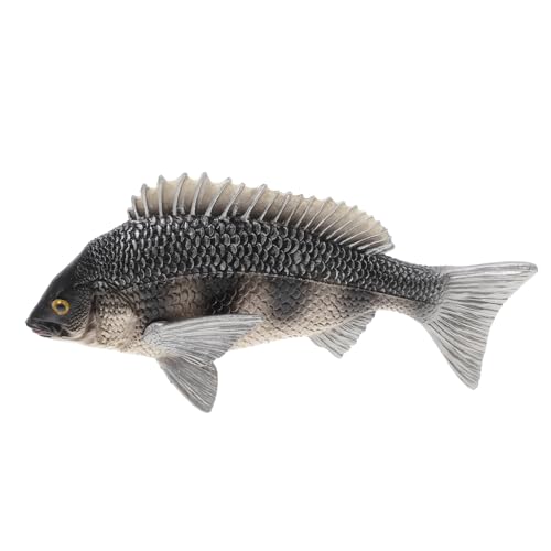 Garneck Simulation Afrikanischer Karausche Tiermodell Simulation Fischmodell Fisch Figur Meerestiermodell Simulation Fischverzierung Realistisches Fischmodell Plastik Garneck Simulation Afrikanischer Karausche Tiermodell Simulation Fischmodell Fisch Figur Meerestiermodell Simulation Fischverzierung Realistisches Fischmodell Plastik von Garneck