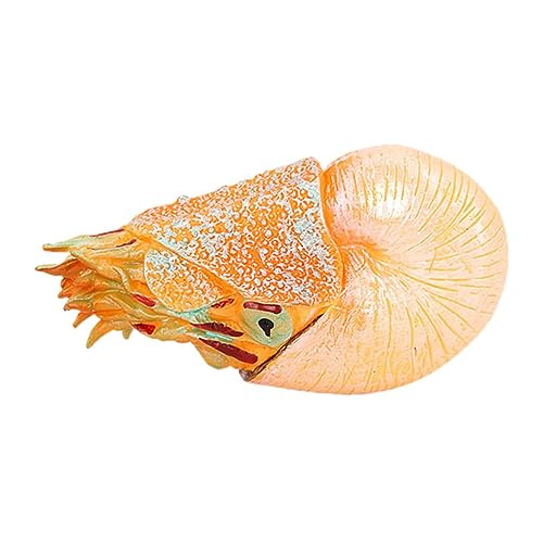 Garneck Simulation Nautilus Modell Realistische Meeresbewohner Figur für Pädagogisches zur des Umweltbewusstseins Naturerfahrung aus Hochwertigem Kunststoff Gefertigt Garneck Simulation Nautilus Modell Realistische Meeresbewohner Figur für Pädagogisches zur des Umweltbewusstseins Naturerfahrung aus Hochwertigem Kunststoff Gefertigt von Garneck