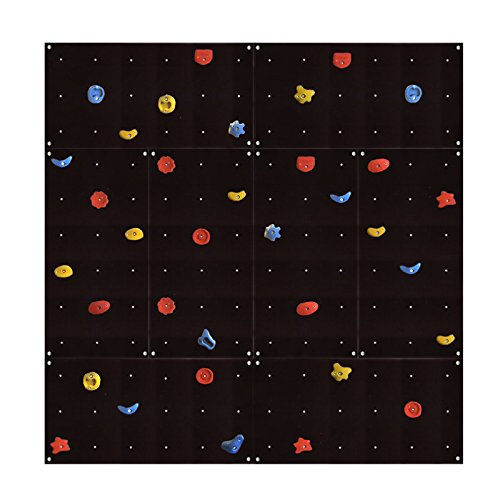 Gartenpirat Kletterwand Outdoor OW8 ca. 5,44 m² mit acht Wandplatten 117 x 58,5 cm 40 bunten Klettersteinen und Montagematerial für Kinder und Erwachsene von Gartenpirat