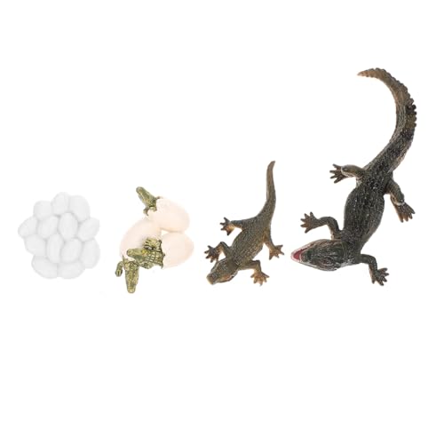 Gatuida 1 Satz Alligator Wachstumszyklen Pädagogisches Modell für Realistisches Tierfiguren Kreativität und Vorstellungskraft für Lernen und Rollenspiele Gatuida 1 Satz Alligator Wachstumszyklen Pädagogisches Modell für Realistisches Tierfiguren Kreativität und Vorstellungskraft für Lernen und Rollenspiele von Gatuida
