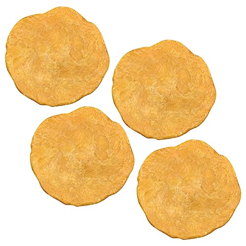 Gatuida 1 Satz Geldwanzen- Fossilien Agypten Dekoringe Bildungsspielzeug Sammlerstücke Decor Probe Versteinerter Nummulite Desktop-ornament Modell Dekoration Orange 4 Stück von Gatuida