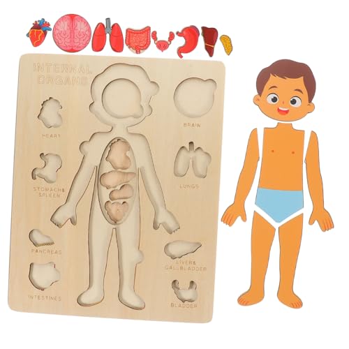 Gatuida 1 Satz Menschliche Körperstruktur Puzzlespielzeug Werkzeug Puzzlematte puzzlekleber spielzeuge Puzzle sortierschalen Körperteilmodell Körperorgane Holzpuzzles Kognitive Rätsel Gatuida 1 Satz Menschliche Körperstruktur Puzzlespielzeug Werkzeug Puzzlematte puzzlekleber spielzeuge Puzzle sortierschalen Körperteilmodell Körperorgane Holzpuzzles Kognitive Rätsel von Gatuida