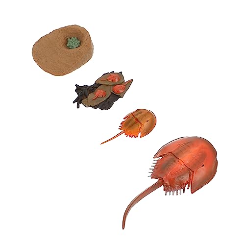 Gatuida 1 Satz Mini Ozeanlebewesen Modell Set Pädagogisches für Umweltfreundliche Simulation von Meerestieren für Bastelspiele und Lernaktivitäten von Gatuida