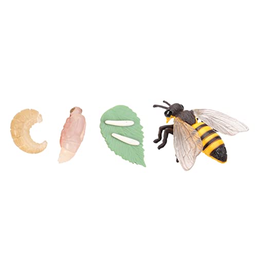 Gatuida 1 Satz Simulation Modellset Insekten Lebenszyklus für Realistische Tier Evolution Modelle Lernspielzeug für Vorschulkinder Dekoration und Unterrichtsmaterial Teiliges von Gatuida