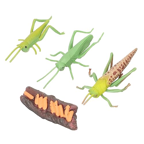 Gatuida 1 Satz Tierwachstumszyklus Modellen Pädagogisches für Frühen Bildung für Rollenspiele und Geschichten Fördert Kreativität und Naturverständnis von Gatuida