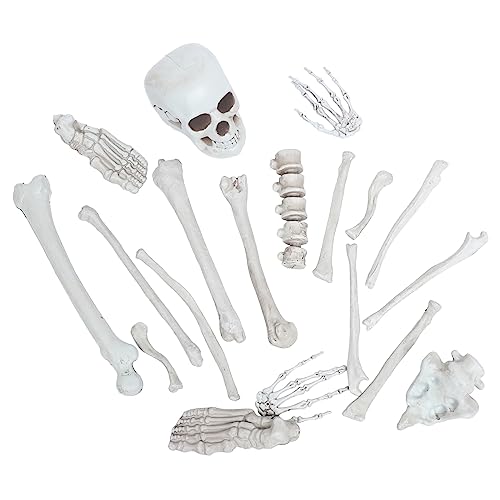 Gatuida 1 Set Human Skeleton Bones Halloween Festival Dekoration Haunted House Requisiten von Gatuida