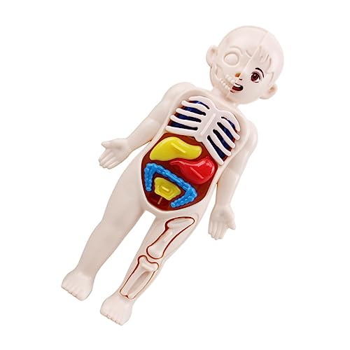 Gatuida Pädagogisches 3d-modell Menschlicher Organe Puzzle-spielzeug Für Kinder Modell Menschlicher Körperteile Lernhilfe Anatomie-set Für Kinder von Gatuida