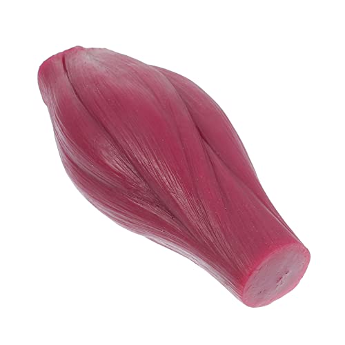 Gatuida 1 Stk Muskelmodell Anatomiemodell des menschlichen Torsos Schultermodell muskulös Muskelornament Körpermodell muskeln muscle Nachbaumodell 1-Pfund-Displaymodell Kieselgel von Gatuida