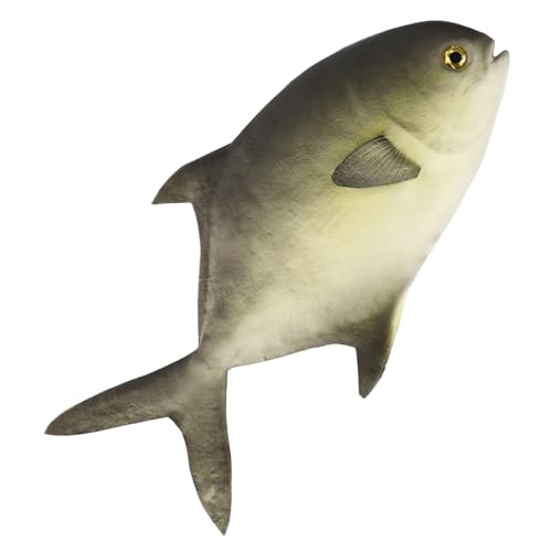 Gatuida 1 Stück Künstliche Fischdekoration Realistische Simulation Fischfigur für Tischdeko Heim und Bürodekoration Kreativität und Farbkenntnis bei Kindern Gatuida 1 Stück Künstliche Fischdekoration Realistische Simulation Fischfigur für Tischdeko Heim und Bürodekoration Kreativität und Farbkenntnis bei Kindern von Gatuida