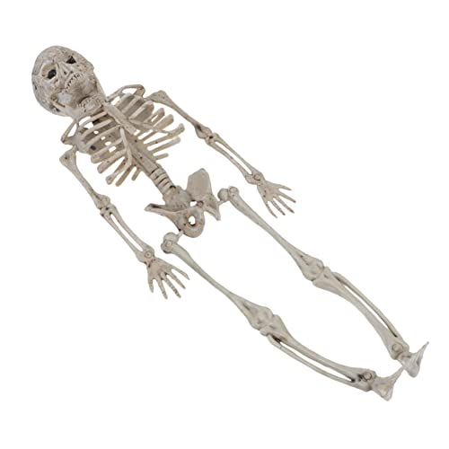 Gatuida Gruseliges Halloween- Skelett-modell Halloween Dekoratives Modell Für Halloween-skelett-dekorationen von Gatuida