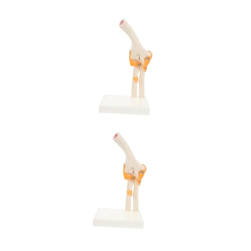 Gatuida 2 Stk Ellenbogen-modell Plastisches Anatomisches Modell Menschliches Skelettmodell Aus Kunststoff Pvc von Gatuida