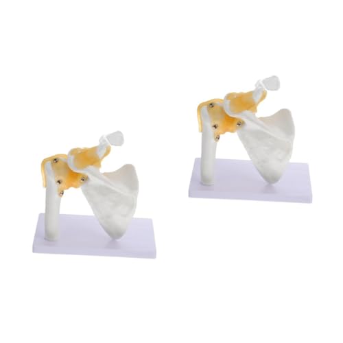 Gatuida 2 Stk Schultermodell menschlich gemeinsames Modell Ärmel Anatomiemodell Modell der Schulteranatomie schaufensterpuppe maneküre- set maniquin Knochenmodell Schultergelenkmodell PVC von Gatuida